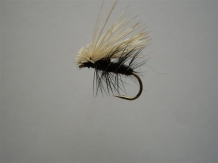 images/productimages/small/Elk hair caddis black.jpg